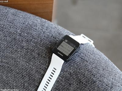 Reloj Garmin Forerunner 255